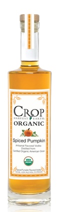 Crop Spiced Pumpkin