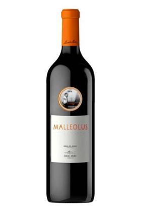 Emilio Moro Malleolus